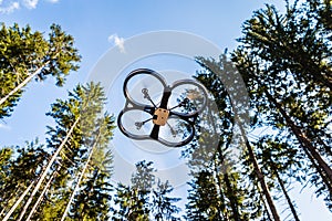 Scout drone in the forest