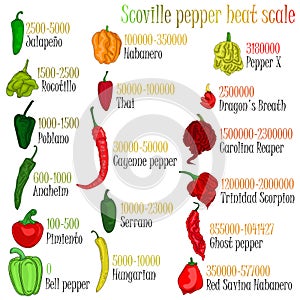 Scoville pepper heat scale. Vector illustration. photo