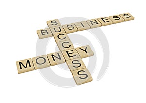 Business Money Success words written with wooden letters, isolated on white background