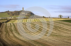 Scrabo Tower on Scrabo Hill overlooking harvested farm fields on the Comber Road outside Newtownards in County Down Northern