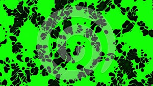 Scramble fractal green and black solarize noise abstract animation