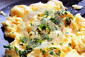 Scrambled Eggs