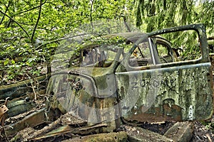 Scrap car in the woods