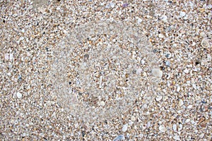 Scrap shell and sand texture