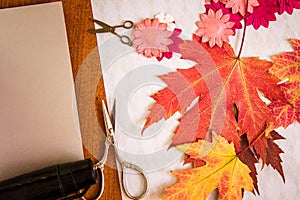 Scrapbooking elements and accessories