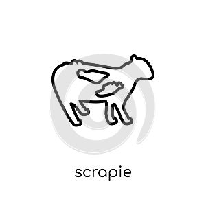 Scrapie icon. Trendy modern flat linear vector Scrapie icon on w