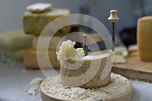 Scraping Device of Swiss Cheese Tete de moine. photo
