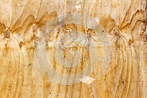 Scratched surface of a sheet of birch plywood with traces of white paint. Natural wood texture. Abstract background