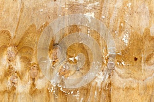 Scratched surface of a sheet of birch plywood with traces of white paint. Natural wood texture. Abstract background