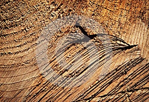 Scratches on wood felling