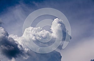Cumulus mediocris cloud
