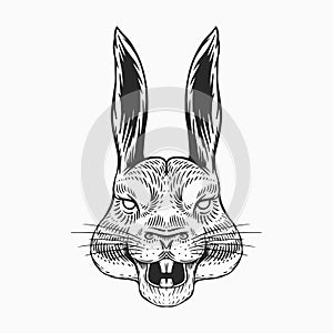 Screaming Hare or mad rabbit for tattoo or label. Roaring animal. Engraved hand drawn line art Vintage old monochrome