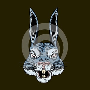 Screaming Hare or mad rabbit for tattoo or label. Roaring animal. Engraved hand drawn line art Vintage old monochrome
