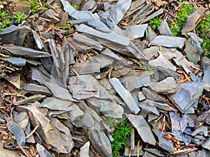 Scree on philosophers trail at the Kahlen