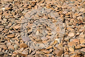 Scree,scree background