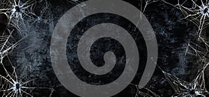 The screen displays a black background with white spider webs, which are thin and long, hanging from both the left and