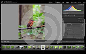 Noise reduction software, Adobe Lightroom