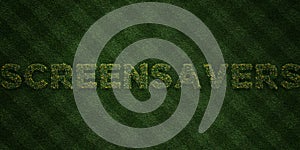 SCREENSAVERS - fresh Grass letters with flowers and dandelions - 3D rendered royalty free stock image