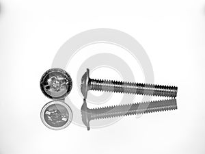 screw with clipping path macro cross head screwdriver, lots of detail, white background