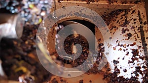 screw grape machine. close-up. top view. the process of squeezing grape juice from freshly harvested grapes, in the