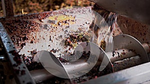 screw grape machine. close-up. top view. the process of squeezing grape juice from freshly harvested grapes, in the