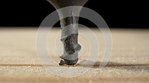 The screw gun screwed black selftapping screws into a wooden board on black background. Extremely close up of drilling