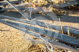 Screw Poking through Beach Fence