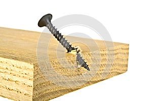 Screw screwed into wooden plank