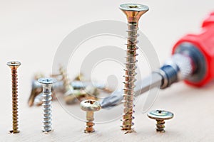 Screwdriver and different screws wrapped in board