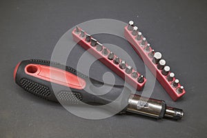 Screwdriver with interchangeable bits