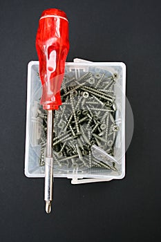 Screwdriver and screws.