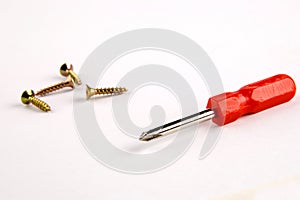 Screwdriver with screws