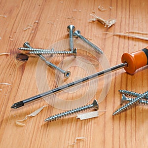 Screwdriver and screws