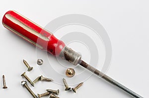 Screwdriver screws