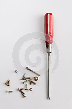 Screwdriver screws