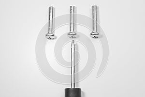 Screwdriver with screws on a white background