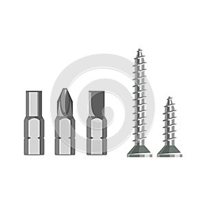 Screwdrivers bit and self-tapping screw.