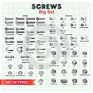 SCREWS Big Set photo