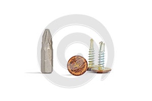 Screws and bits for screwdriver on white background
