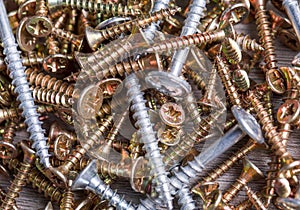 Screws, a pile of assortment for domestic work.