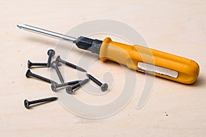 Screws and the screwdriver