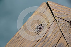 Screws screwdriver twist in wooden board. close up