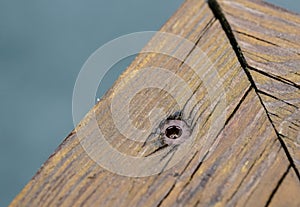 Screws screwdriver twist in wooden board. close up