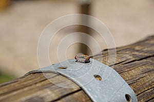 Screws screwdriver twist in wooden board. Joinery and construction work close up.