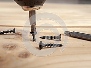 Screws twisted into a wooden board with an electric screwdriver, drills, screws close-up, home