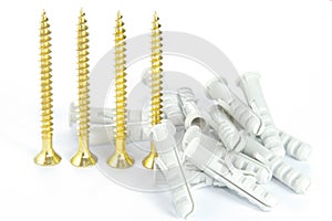 Screws and wall plugs on white