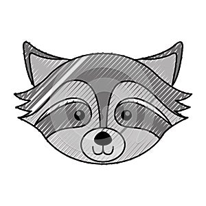 Scribble raccoon face cartoon