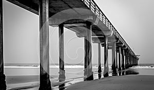 Scripps Pier San Diego Black and White