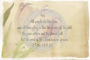 Scripture Verse with Background Image