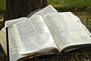 Scriptures